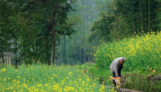 一起“村”游吧！宁海静享“慢生活”指南