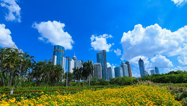 海口联动105家境内外专业机构，打造自贸港全产业链招商服务平台