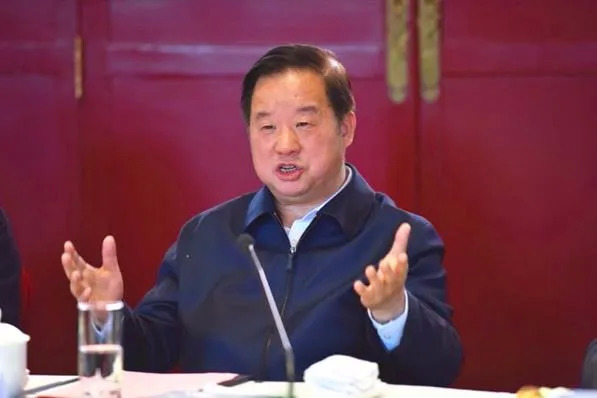 上市公司,新华联,公司治理,傅军