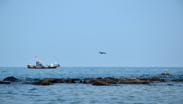 山东城市观察｜烟台驶入深蓝：海洋的深处是什么？