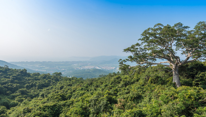 国家森林康养基地（第一批）名单公布，海南4基地入选