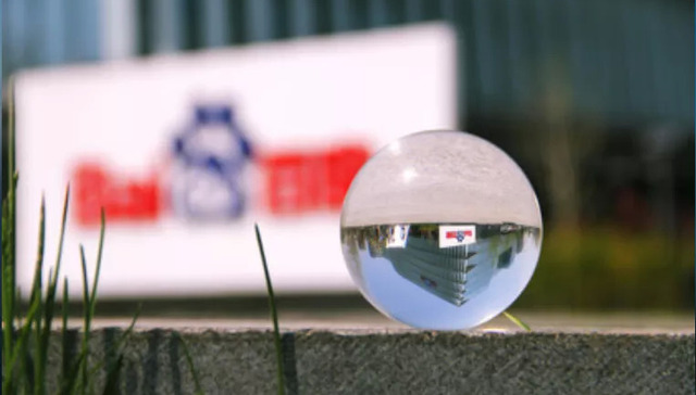 百度,直播,搜索