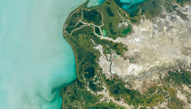 自然,环境,科普