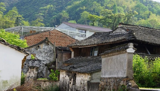 这个隐藏在宁波的古村秘境，龙溪、龙潭、龙树，仙气缭绕...