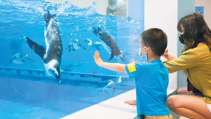 “五一”假期海南亲子游表现亮眼，家庭游、亲子游需求活跃