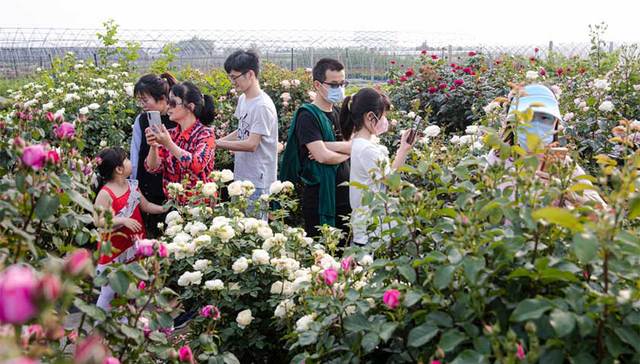 五一期间宁波慈溪乡村旅游和主要景区接待游客近20万人次