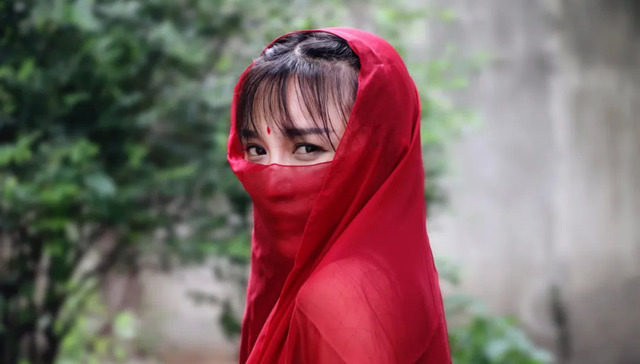 网红经济,资本市场,李子柒