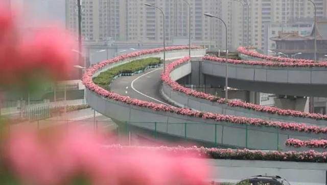 宁波这几条高架繁花相伴，绵延50余公里