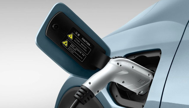 新能源汽车,中国市场,政府补贴