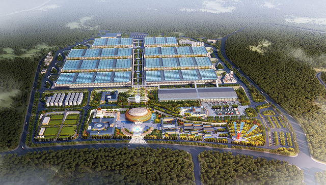 一区两群看涪陵④｜涪陵：一碟榨菜到一座中国榨菜城