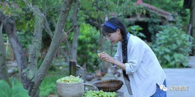 直播,电商,投资