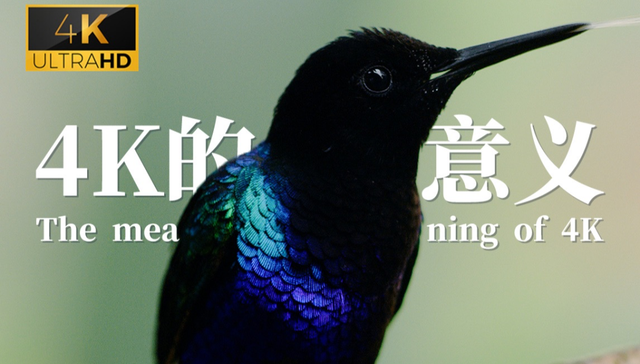 视频网站,B站,4K