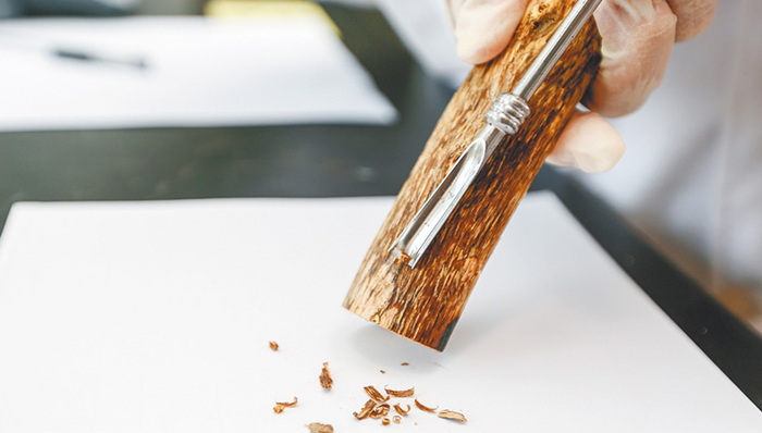 “智造”沉香：海南科研人员通过全产业链研究，推动沉香产业提质升级