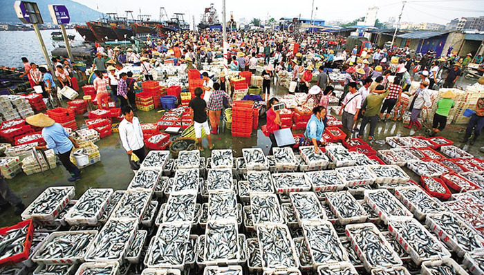 休渔期，鱼从哪里来？养殖水产强势“补位”