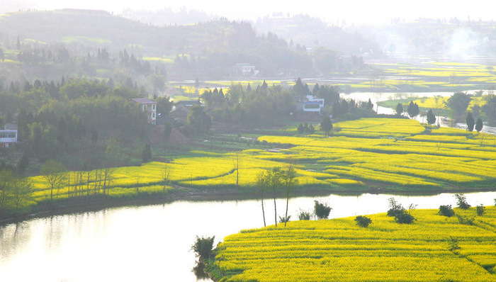 重庆第2号总河长令：强力整治污水乱排、岸线乱占、河道乱建