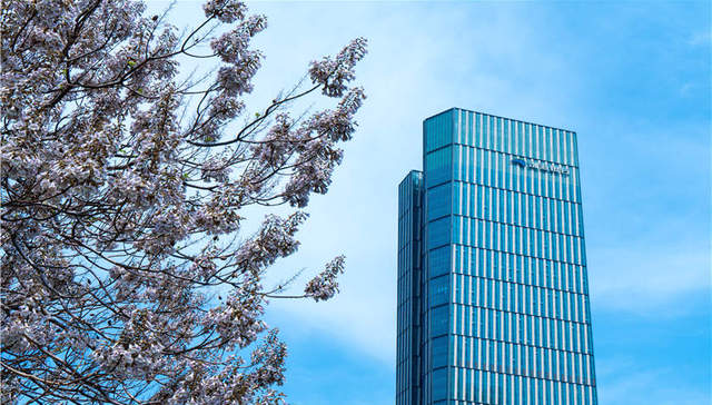 津滨发展回复深交所问询，并于6月5日撤销退市风险警示