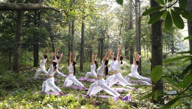 养老地产,中国市场,健康养生