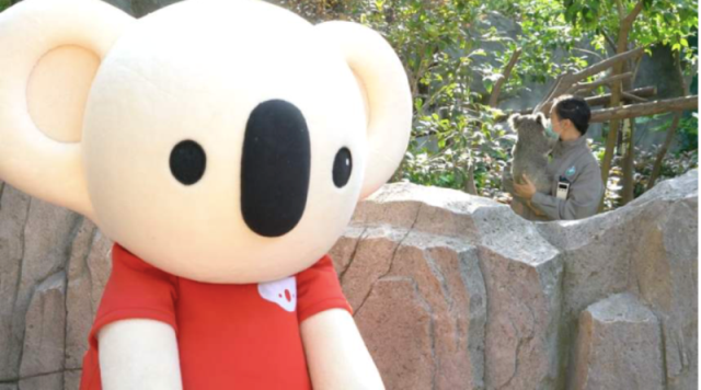 电商,考拉,淘宝