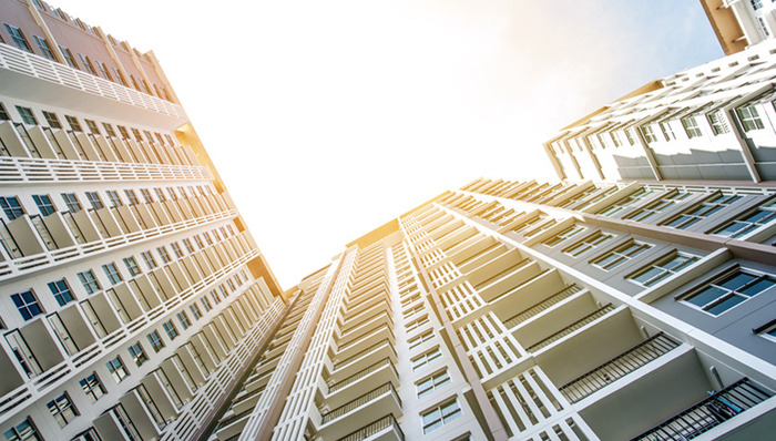 快讯｜又一所深外将开学、深圳湾环评造假案被罚620万