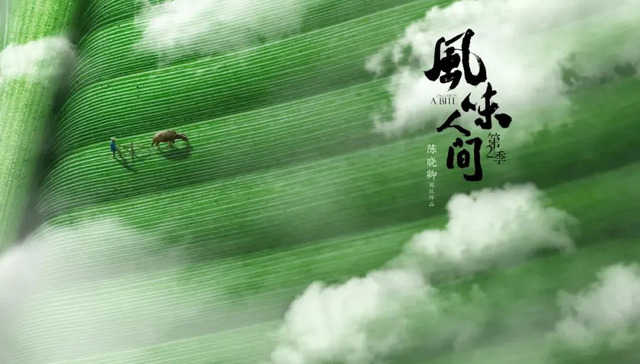 记录片,综艺,美食