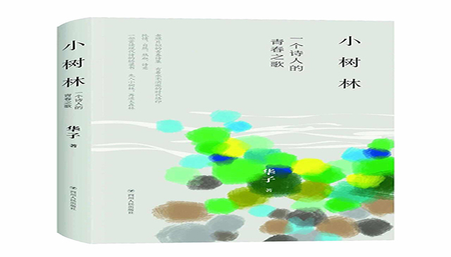 文学丨在青春之歌中回望激情岁月——序华子的再版诗集《小树林》