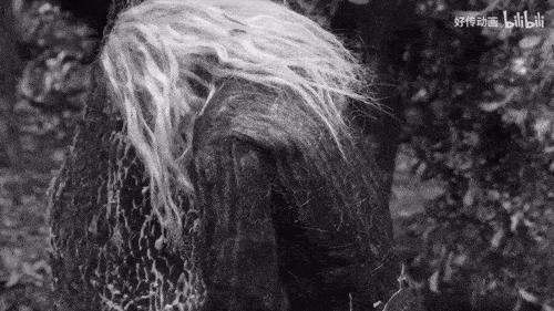 《风雨廊桥》,定格动画,网络动画