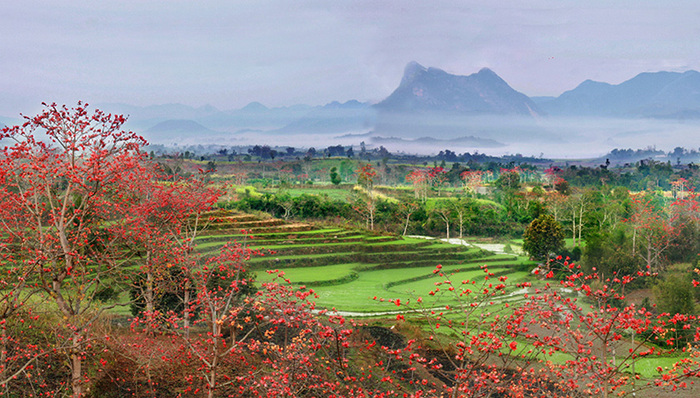 海南热带雨林国家公园建设稳步推进