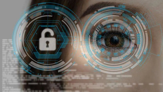 数据安全法,数据,隐私