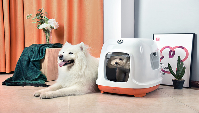 掘金千亿“宠物经济”市场？这款为汪星人打造的智慧狗屋走红了！