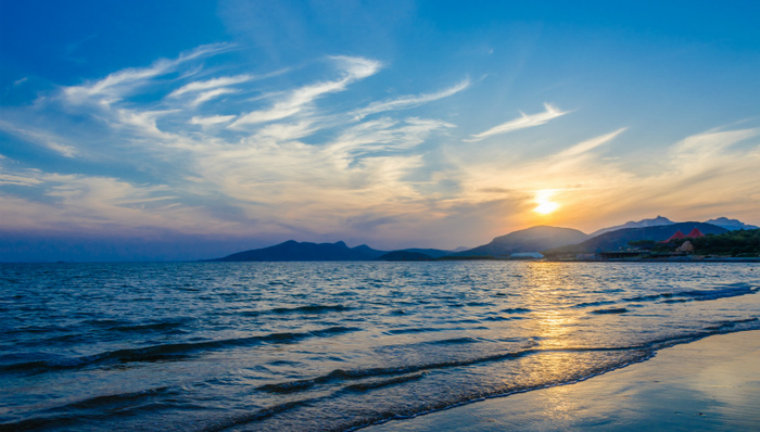 中医药产业开启加速跑，山东等12省发起全国首个省际中药材采购联盟