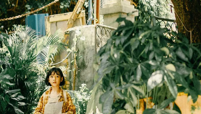 旅行,美食,湛江,隐秘的角落