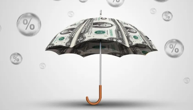 宝德股份,名品世家,资本