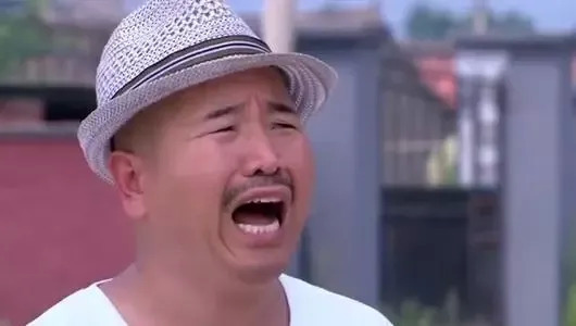 娱乐圈,乡村爱情,赵本山,刘能,小沈阳,师徒制,艺人经纪