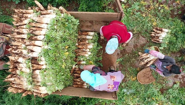 洞天福地·花海毕节|特产