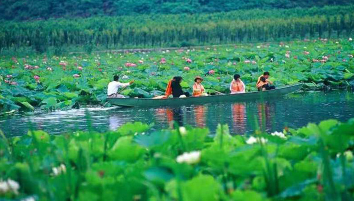 门票打折，机票优惠，云南文山邀重庆人去耍