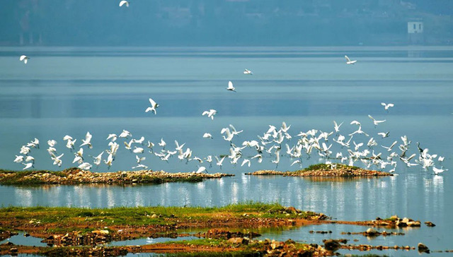 浙江自然资源系统践行“两山”理念典型案例公布，宁波市2个案例入选