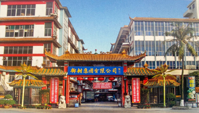 椰树集团：顺改革而生，因改革而兴