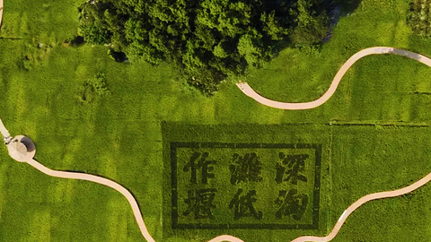 都江堰：堅(jiān)決貫徹“西控”發(fā)展戰(zhàn)略，決戰(zhàn)百日項(xiàng)目招引攻堅(jiān)大比拼