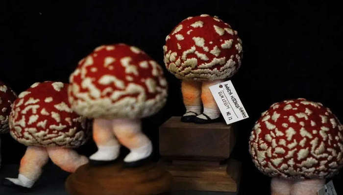 又是一看就会一做就废的神仙手作！