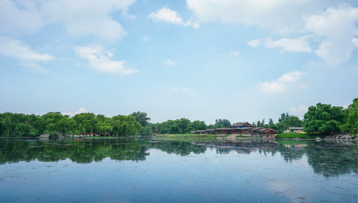 反转？青岛地铁12号线“复活”