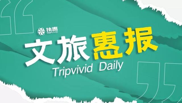 旅游,财报,消费