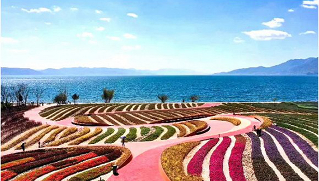 花海、星光夜市，你以为完了？抚仙湖还在酝酿一个更大的打卡地