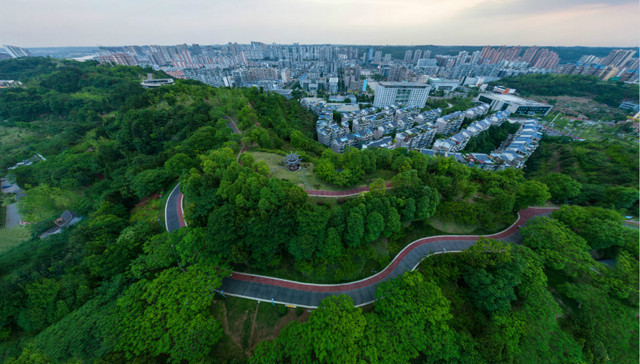 如何唱好“双城记”，共建“经济圈”，简阳市这么做
