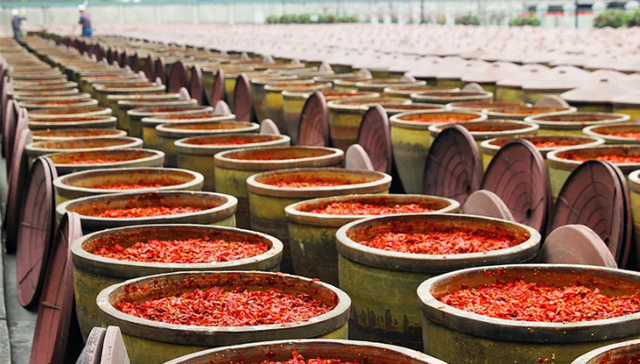 郫县豆瓣：以川菜产业园为核心，推动川菜全球化