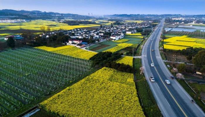 百名摄影师聚焦彭州“美丽交通·与您同行”摄影展国庆亮相
