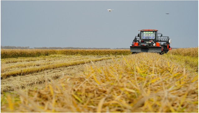 抢占智慧农业技术制高点，碧桂园北大荒打造全球首个超万亩无人化农场