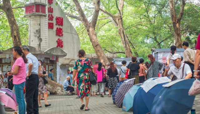 婚恋,直播,情感