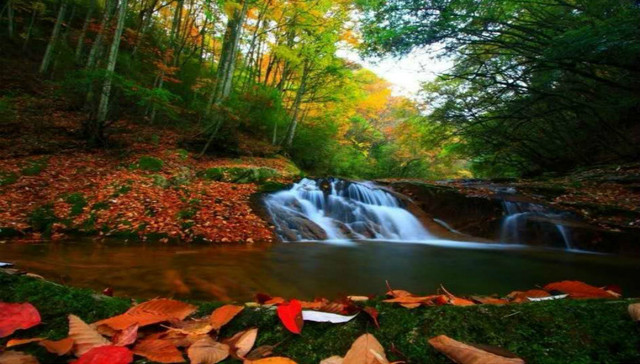 “安逸走四川  相约光雾山”第十八届四川光雾山红叶节盛大开幕