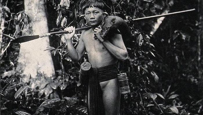 狩猎,环境,科学新知,人类学,灭绝