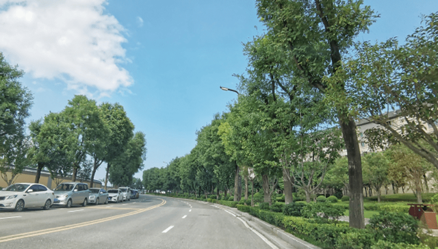 地铁通车促配套提升，主打改善的临潼能否回暖